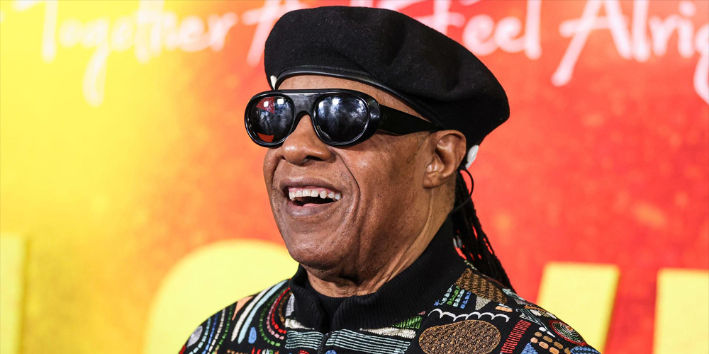 The Role of Stevie Wonder in Changing Perceptions of Natural Beauty 