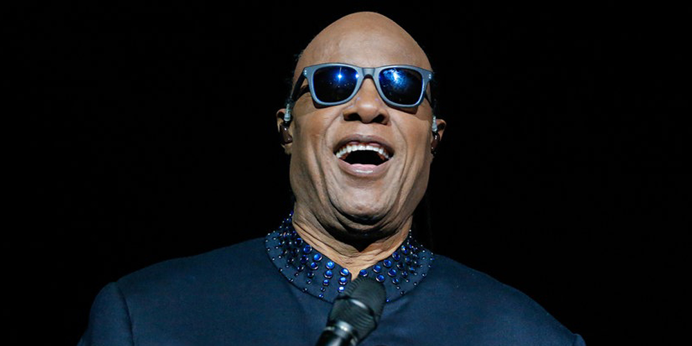 The Role of Stevie Wonder in Changing Perceptions of Natural Beauty